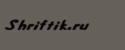 FritzerExtended Bold 